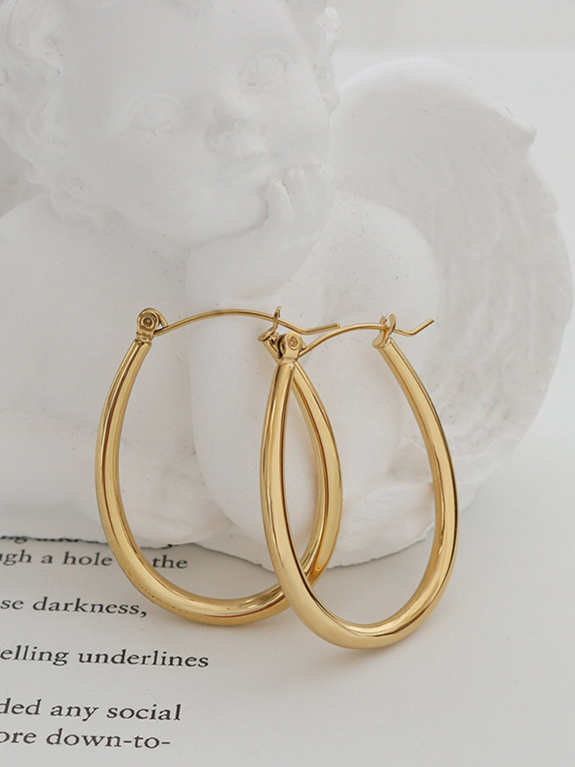 18K Gold-Plated Titanium Steel Earrings - The Ruffled Bull Boutique